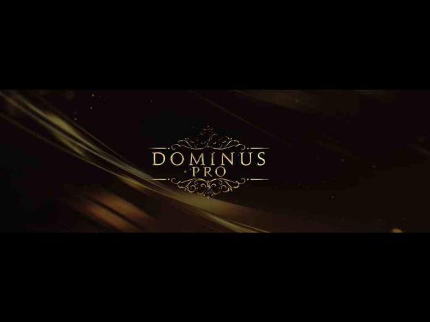 Fluffy Audio présente Dominus Choir Pro