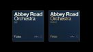 Abbey Road Orchestra : Flutes est là !